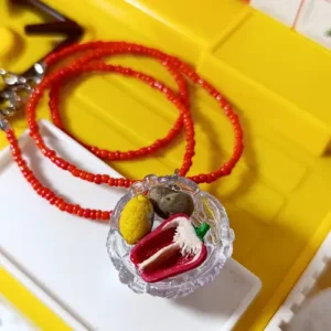 Collar Bowl de verduras (tira roja)